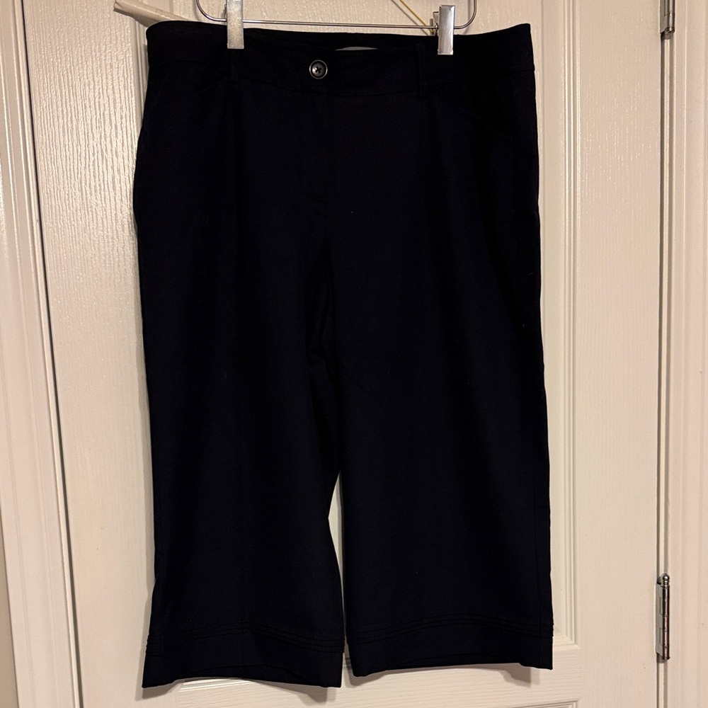 Ann Taylor Macy blue Bermuda Shorts